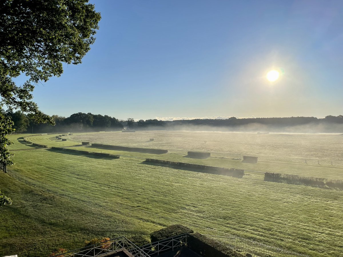 Guten Morgen 🥰 

Die Sonne vertreibt den letzten Nebel auf unserer wunderschönen Rennbahn Hoppegarten ☀️🏇🏽

Wir sehen uns am 3. Oktober 📍
🇩🇪 RENNTAG DER DEUTSCHEN EINHEIT 
🏇🏽 8 Rennen 
⏰ 1. Start: 14:00 Uhr - Einlass: 12:30 Uhr 
🎟 hoppegarten.com