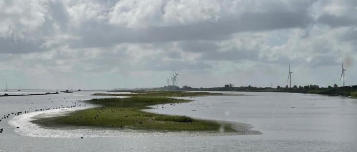 #energietransitie Voor het eerst is in een systeemstudie een scenario opgenomen vanuit het gedachtengoed van #dewereldvanb. Hieruit blijkt dat knelpunten op het netwerk en netverzwaring voorkomen kunnen worden. regionale-energiestrategie.nl/energiesysteem… #innovatie #energiesysteem