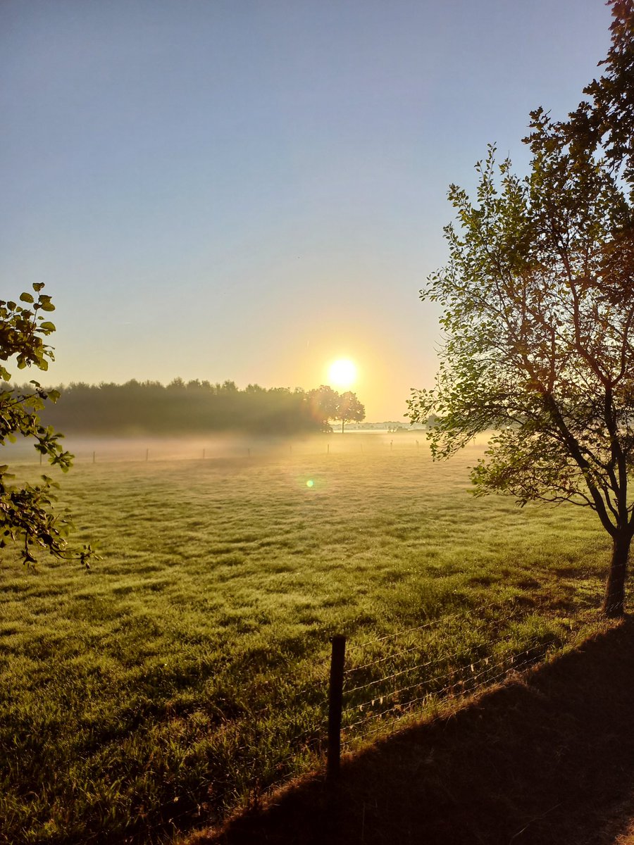 Johan Jansen tweet media