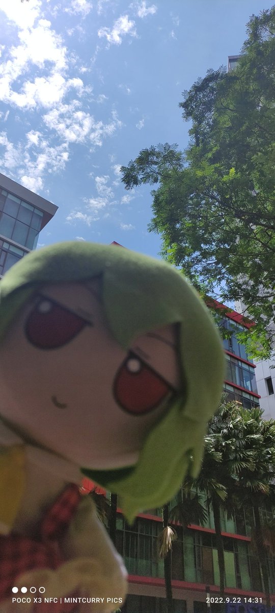 CirnoFumoTan's tweet photo. "After the rain...."
.....there's always a smiling Mama Yuuka.
#mamayuuka #yuukakazami #touhou #fumo #plushie #malaysia #goodweather #almostclear https://t.co/b0geowL2OM