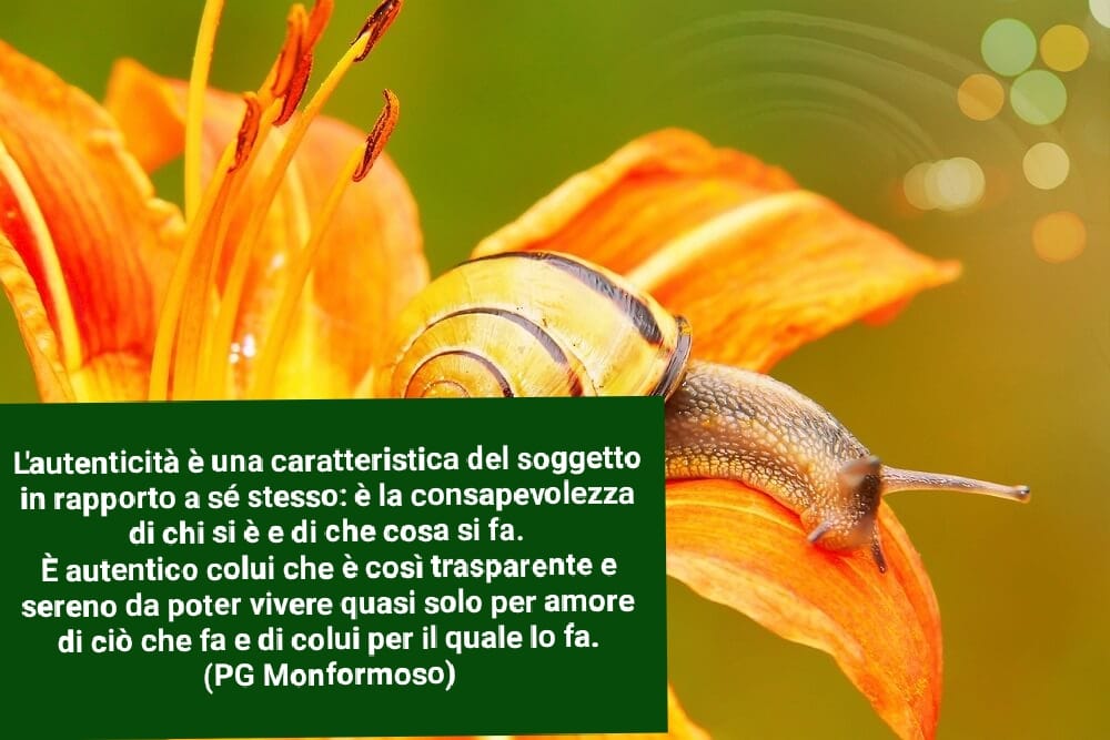 pagiomonfi's tweet photo. Essere davvero se stessi sempre è la più bella libertà...
#pagiomonfi https://t.co/vLMjAbin9z