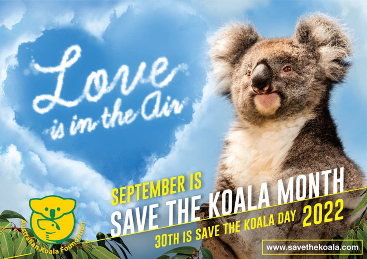 savethekoala's tweet photo. This September AKF wants to recognise your support by sending you a personalised certificate if you make a donation above AUD$30 during #STKM. All you have to do is forward the confirmation email of your donation to AKF at: supporters@savethekoala.com.
https://t.co/SQ4DvtQP0q https://t.co/ohx5FPIFgf