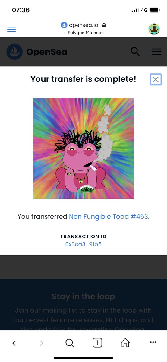 NonFungibleToads NFT tweet media