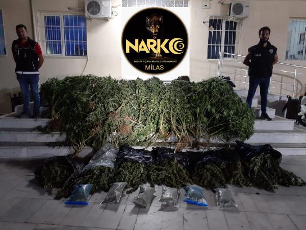 medyapollscom's tweet photo. MUĞLA'nın Milas ilçesinde, polisin düzenlediği operasyonda, 46 kilo kubar esrar ele geçirildi. Avustralya uyruklu turizmci kadın ve Türk eşi gözaltına alındı. https://t.co/h4uLIlmPa5 https://t.co/VZe8FP3ebX