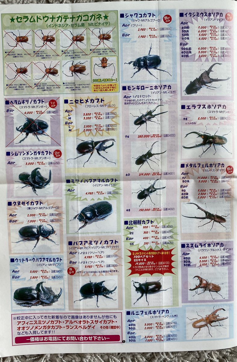 オオクワガタ・GENJI (@GNEJI0000) / Posts / X