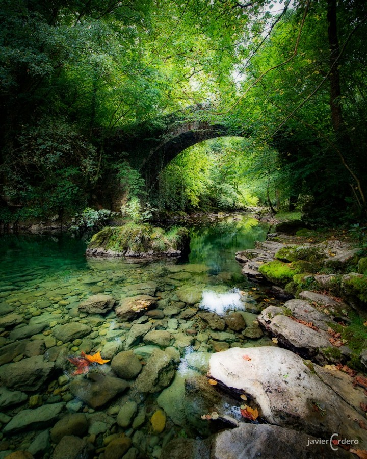 ManuelMorera3's tweet photo. Con esta excelente foto Javier Cordero 2º premio concurso de Cantabria. Aprovecho para adjuntar el enlace del corto que me realizó hace unos meses. Su gusto y acierto cuando está tras la cámara es exquisito. https://t.co/TKgazRTJxp https://t.co/46EBpDpRxw