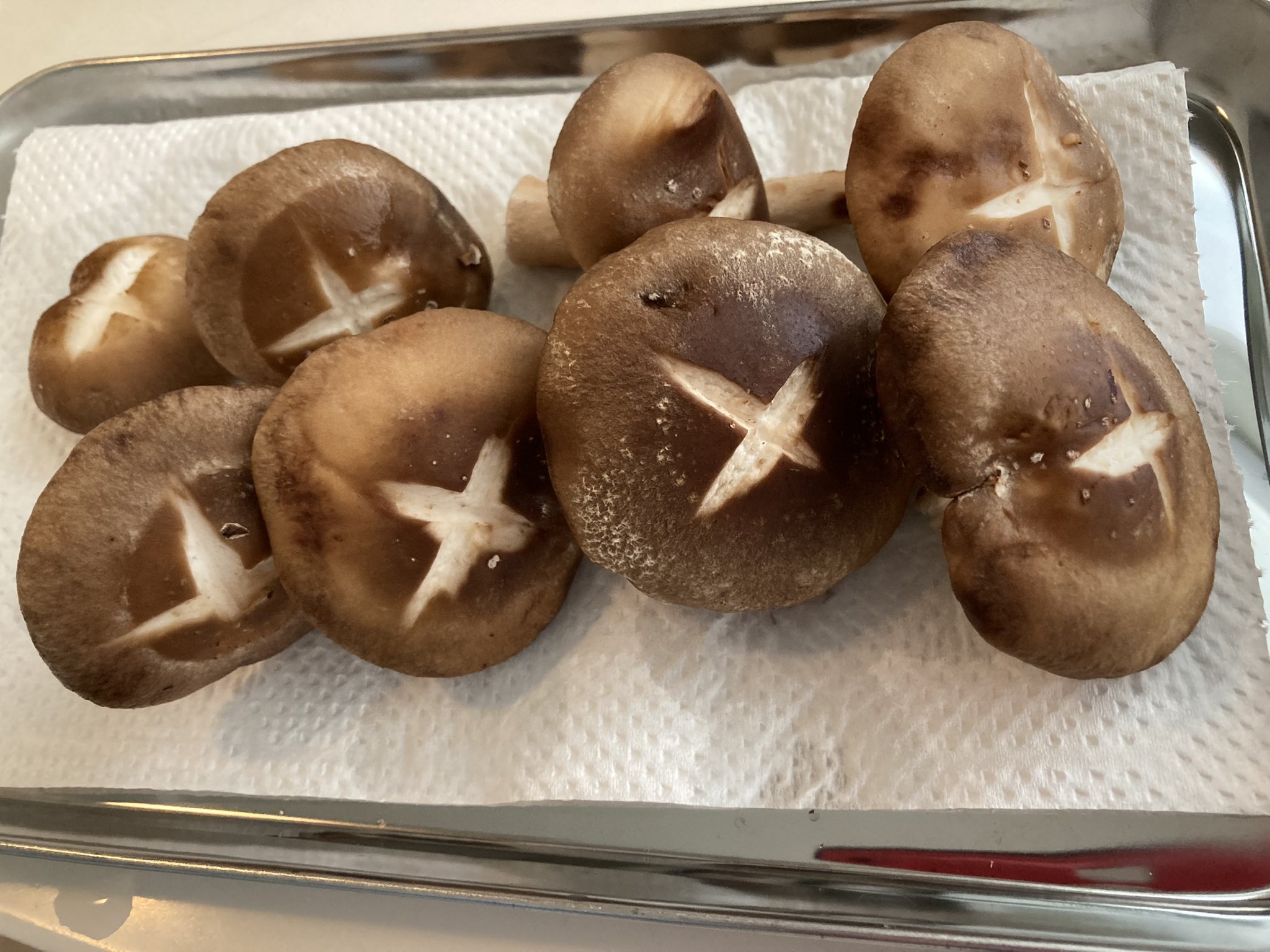 鱗花 しいたけ Rinka Shiitake8 Twitter