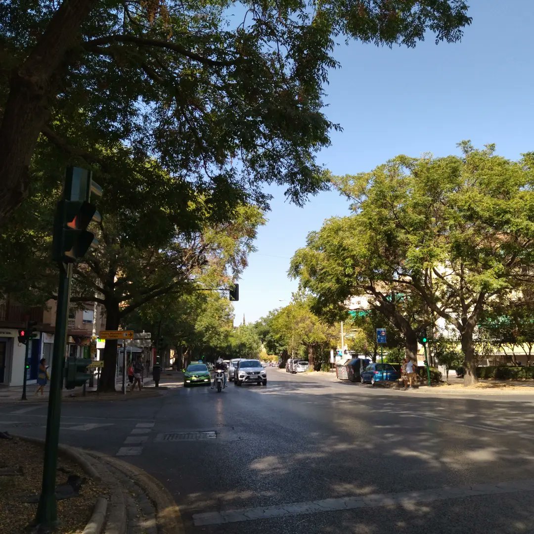 makaralu's tweet photo. .Barrio tras barrio van avanzando y hay q salir con paraguas p el sol q abrasa¿Qué poder tiene el #dinero q los mismos políticos q vivían en #LaChana, en @aytogr casi todos,destruyen su propia ciudad,la misma q heredarán sus hijos? #talasmasivas #asesinatodeárboles en #Granada https://t.co/d3zRVwrkFh
