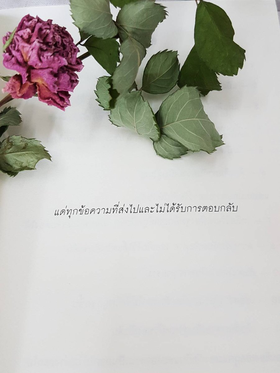 klinnangsue's tweet photo. มิตรภาพไม่ได้คงอยู่ตลอดกาลอย่างที่เขาว่ากัน หลายคนบอกว่าความรักโรแมนติกไม่ยั่งยืนเท่ามิตรภาพ แต่แท้ที่จริงแล้ว ไม่ว่าจะความสัมพันธ์รูปแบบใดล้วนไม่มีอะไรอยู่ตลอดไป

#ตลอดกาลคือคำลวงหรือผลพวงจากความคาดหวัง https://t.co/ACl8ArF6Mp