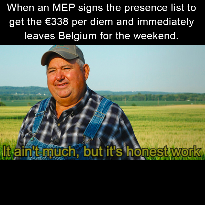 DG MEME 🇪🇺 tweet media