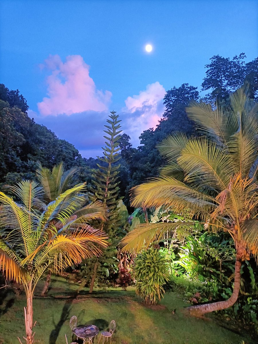 lateeyamacadam's tweet photo. welcome to guadeloupe 😍😍
#guadeloupe #jeudiphoto #petitbourg #lalezarde #pleinelune #zerofiltre https://t.co/RRUHKWCDYP