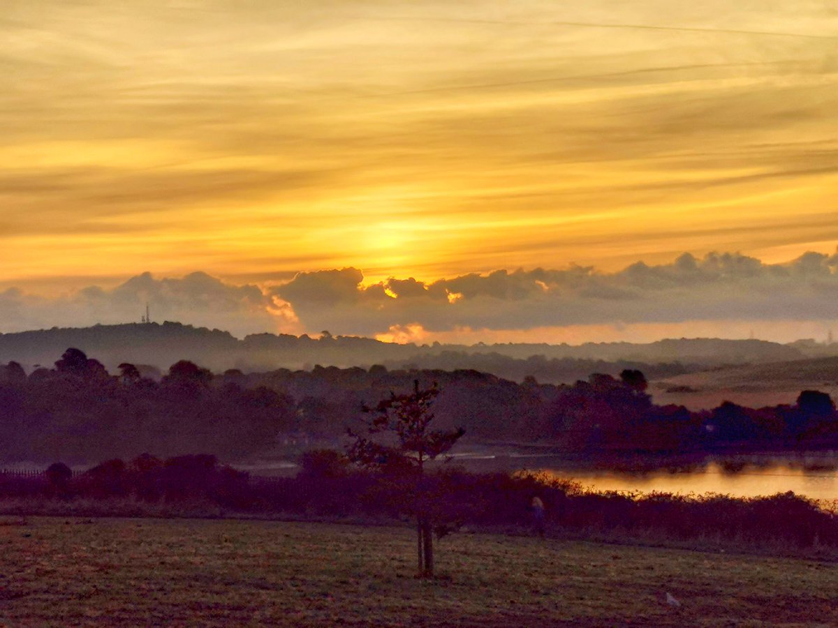 JackieGMs66's tweet photo. Misty sunrise at Mount Gould Park #sunrise #mist #MountGouldPark #Plym #Plymouth #Thursday https://t.co/oyDxOchl5m