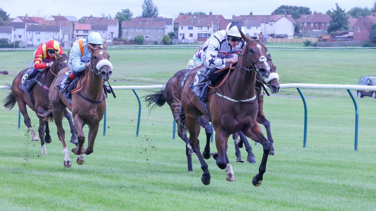 NBradleyRacing's tweet image. The calm before the storm @NewmarketRace #Oscula G2 #Marshman G1 #Wavemachine G1 supporting cast #AngelDeLuz #ZebraStar A big weekend at HQ for @NBradleyRacing 🤞