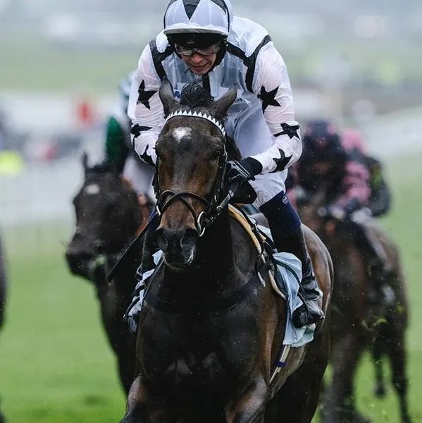 NBradleyRacing's tweet image. The calm before the storm @NewmarketRace #Oscula G2 #Marshman G1 #Wavemachine G1 supporting cast #AngelDeLuz #ZebraStar A big weekend at HQ for @NBradleyRacing 🤞