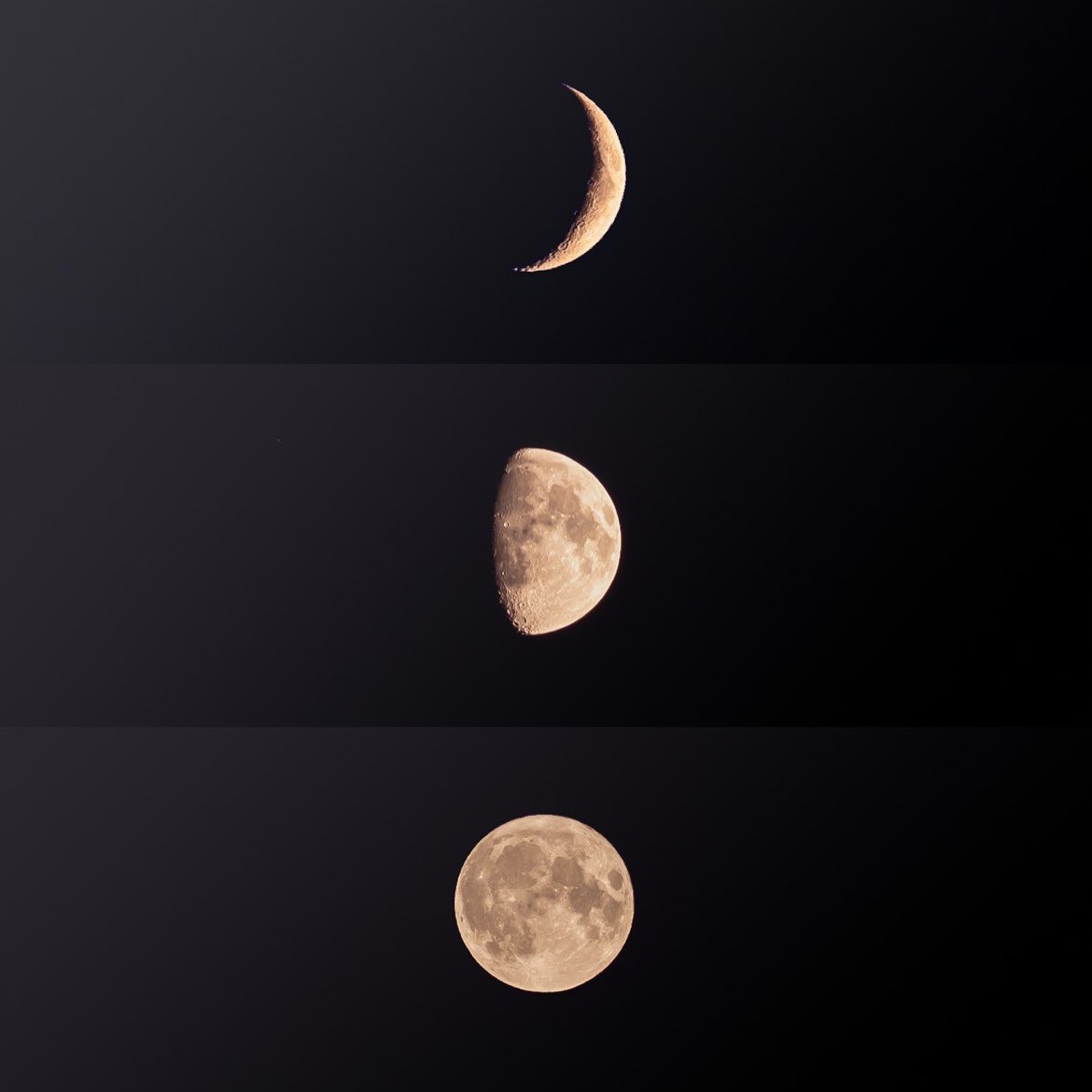 tom_s_snaps's tweet photo. GM photographers 📸

Tracking the moon since my childhood, something mesmerising about it. So far and yet so present.

Come and say hi if you like the moon and share your shots. I bet there are plenty 🤙🏼 https://t.co/zo3DHN9B5U