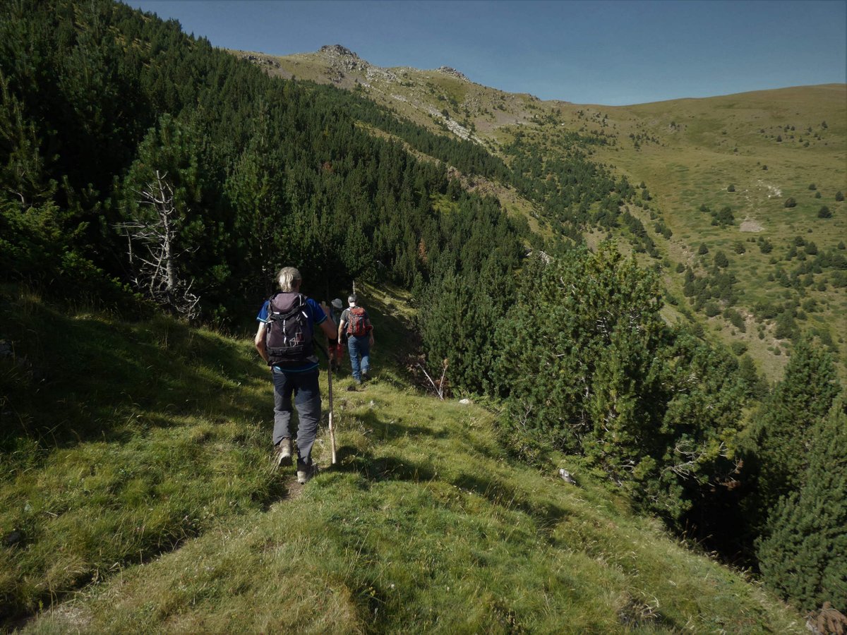 parcscat's tweet photo. Avui el #PNTerFreser fa 7 anys! 🎉😀

#SabiesQue aquest Parc va ser el bressol de l’excursionisme català? Excursions canòniques del Parc, Camins de Romiatge de Núria, espiritualitat, el primer refugi de muntanya a Ulldeter... https://t.co/wEw1IbZcWj