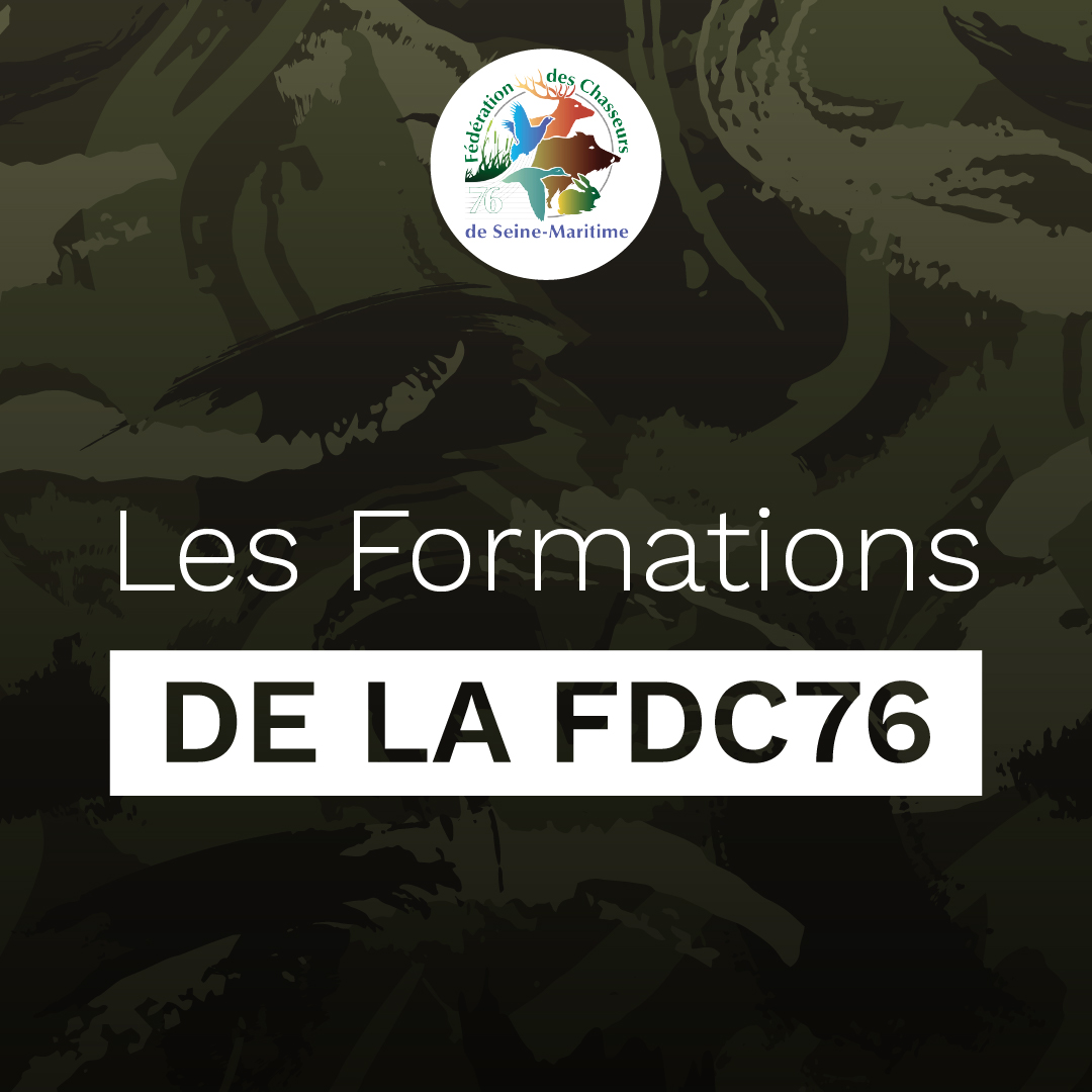 FedeChasseurs76's tweet photo. Le saviez-vous ? 🤔

La Fédération dispense 9 formations pour les chasseurs et futurs chasseurs ! 🔥

▶ Retrouvez plus d'informations ici : https://t.co/yFNp2MjvqD

#fdc76 #formations #lesaviezvous #chasseurs #chasse #formezvous https://t.co/oqCYjgpEdP
