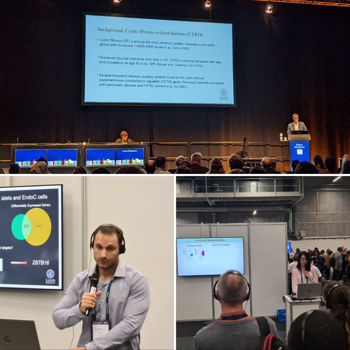 Lena Eliasson tweet media