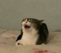 Mau_Roll's tweet photo. Yo durante la #AlertaSismica / Yo viendo los memes que no sacaron el 19. https://t.co/kzAb1fyVCX