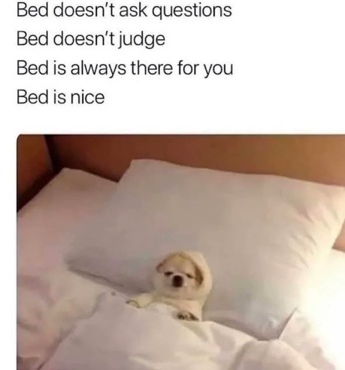 WholesomeMemes (@wholesomememe) on Twitter photo 