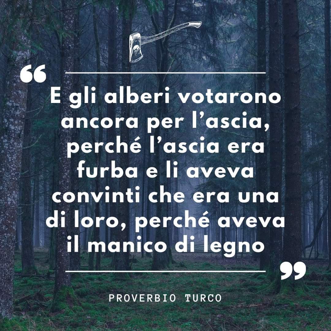 carloemme50's tweet photo. https://t.co/y3BtKvJHsV