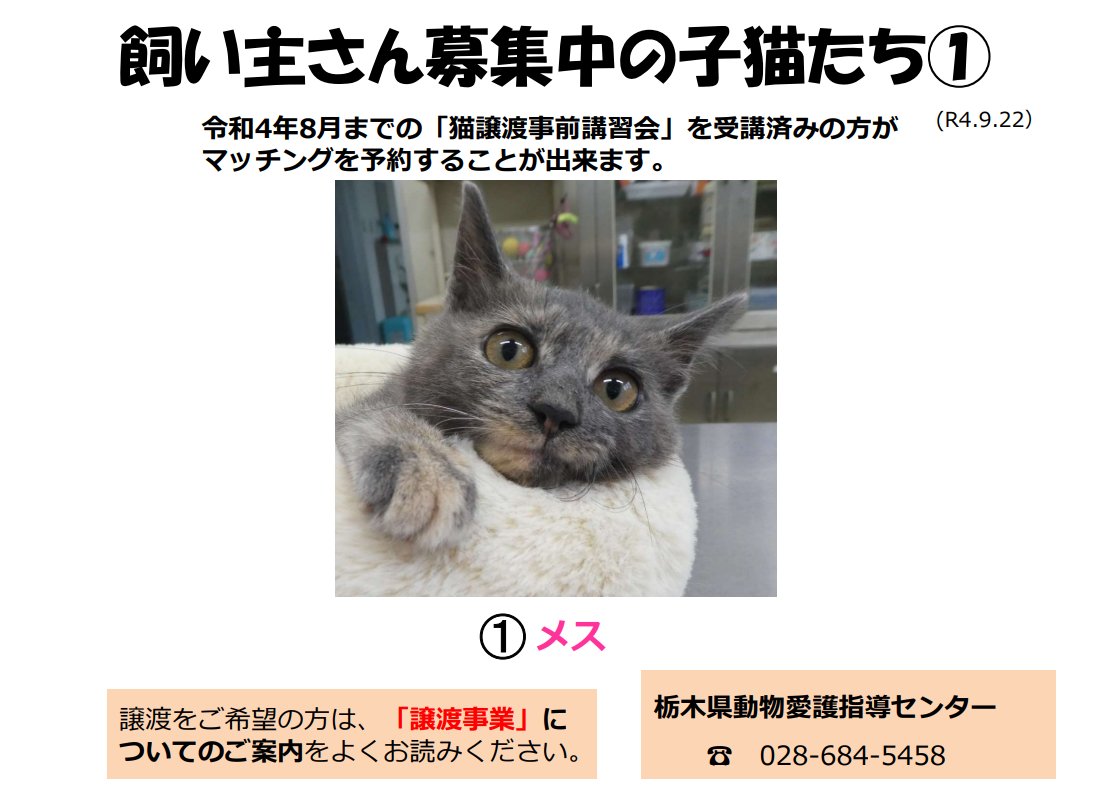 栃木県動物愛護指導センター Tochigi D A S C Twitter