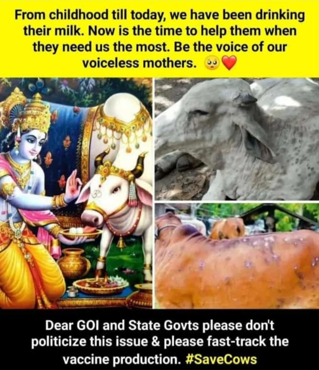 Raj_aanonymous's tweet photo. #savecows #savecowsaveearth #SaveCowsIndia https://t.co/4tPxYIKEza