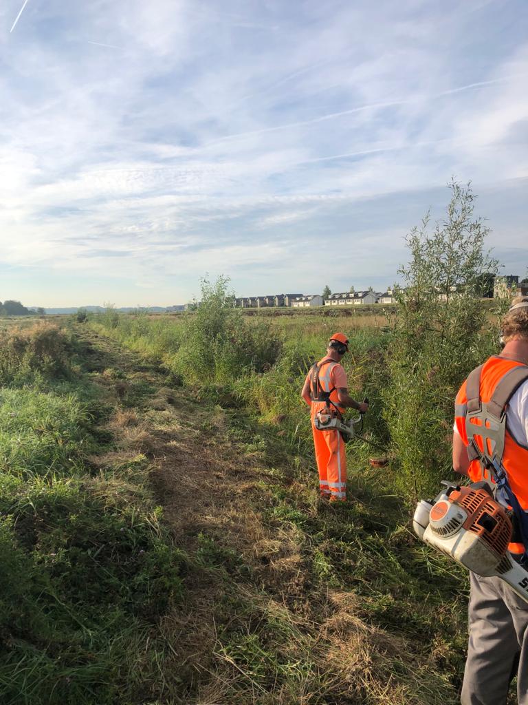 Voor <a href="/gemZoetermeer/">Gemeente Zoetermeer</a> en <a href="/Gemeente_LV/">Gemeente LV</a> maaien wij het gras in het natuur- en #recreatiegebied; De Nieuwe Driemanspolder. Mooi en #specialistisch werk met hoge #kwaliteit uit mogen voeren is een feest! Lees meer op vermeulengroep.com/maaiwerkzaamhe…
#werkeninhetgroen  #broedgebied  #maaien