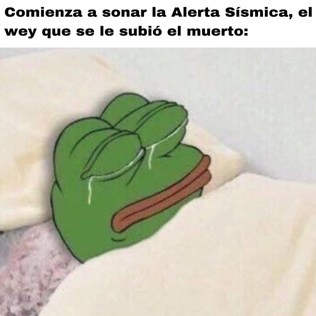Christiancm369's tweet photo. @SismologicoMX  
No mamesssssss…….se imaginan 
😂😂😭😭😭
“Wey muéveme, muéveme” https://t.co/cy1NwyY9so