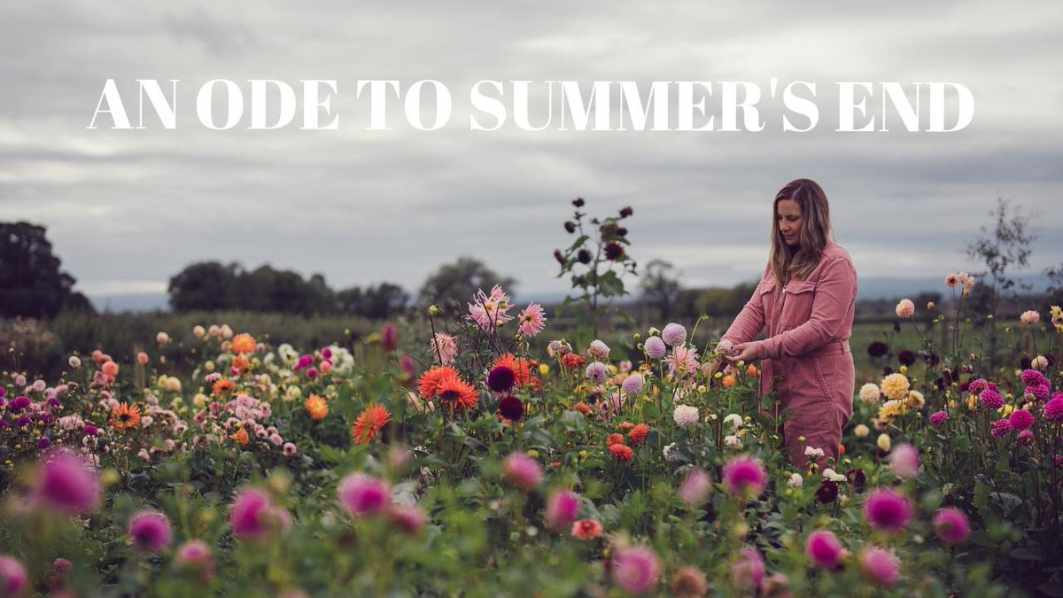 New video, some thoughts on the new season  youtu.be/TT8VfnQW0JA