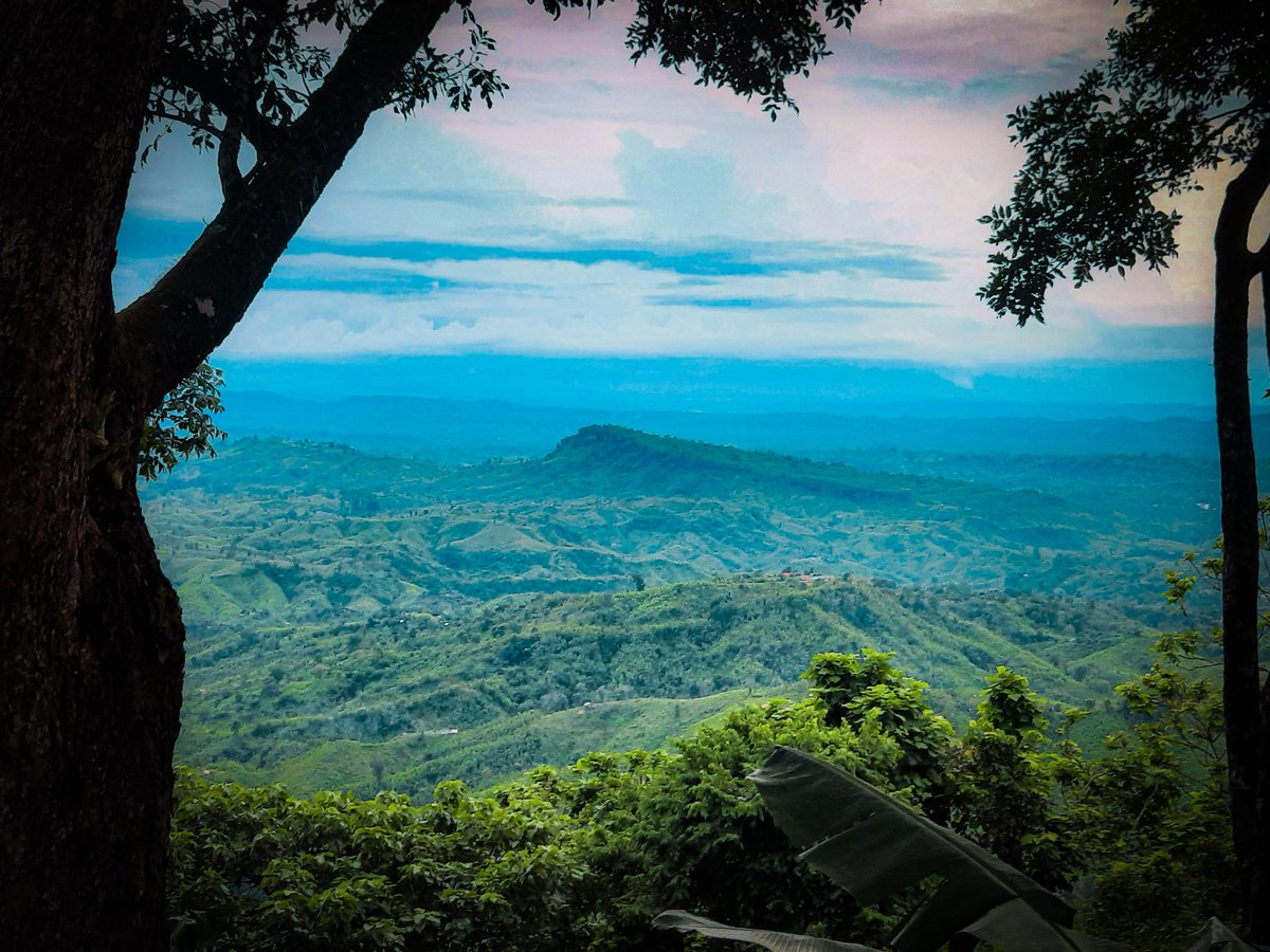 Third_Eye_000's tweet photo. Made this new NFT.Available on https://t.co/gAD62OZfrK. Link in my Bio.
Location- Sajek Valley,Bangladesh.
#algorand #NFTCommunity #photography #algofam #algogem #nftphotography #nftart #AlgorandNFT https://t.co/ITRmlzyYHG