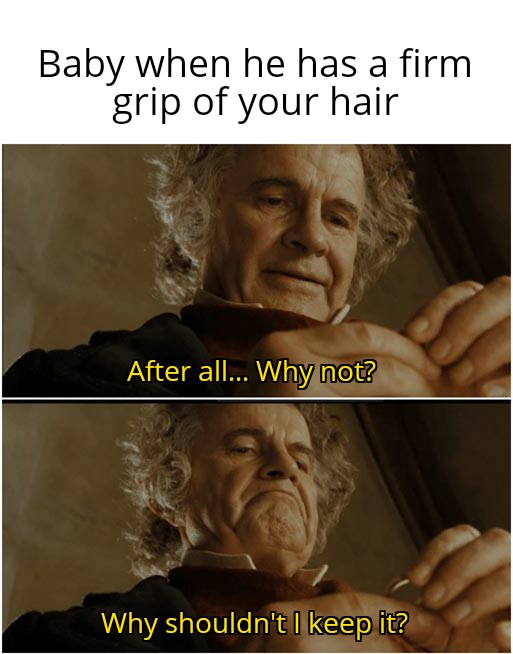 MsMcCoymaths's tweet photo. Happy #HobbitDay ! So many versions of this meme make me chuckle but this one speaks to me right now!🤣 https://t.co/75Vtmjc1ub