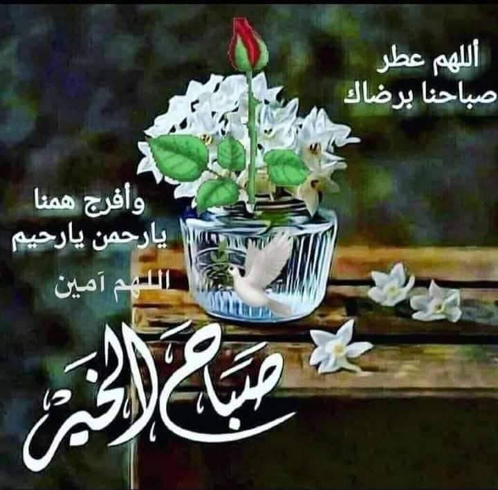 ليآلي ✦ tweet media