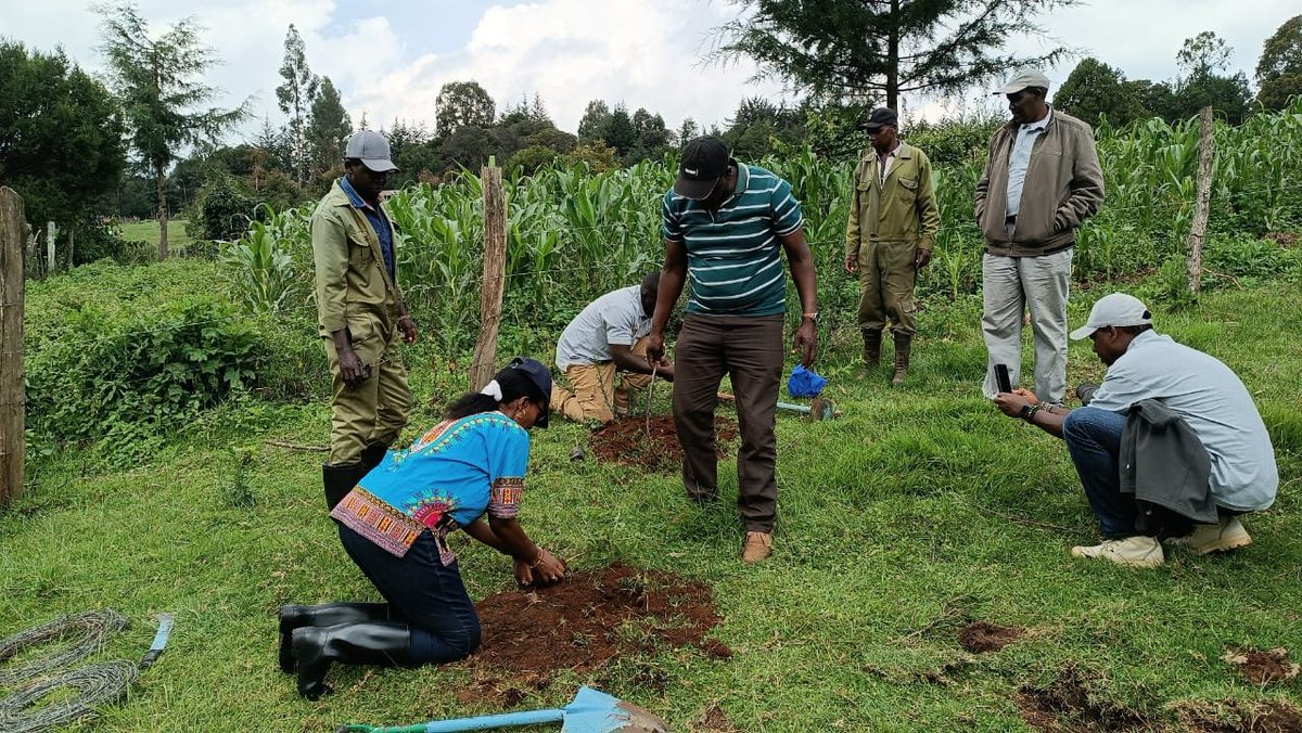 FOMAWA's tweet photo. Mr James Langat articulating + Mr Sammy Sitienei demonstrating what best Husbandry means when growing gums at the 11th #MaraDay celebrations,   https://t.co/bYLDEvUPbN (https://t.co/TiwgRdljRy) #photo #Practice #Knowledgeispower https://t.co/phwYZ2GVkU