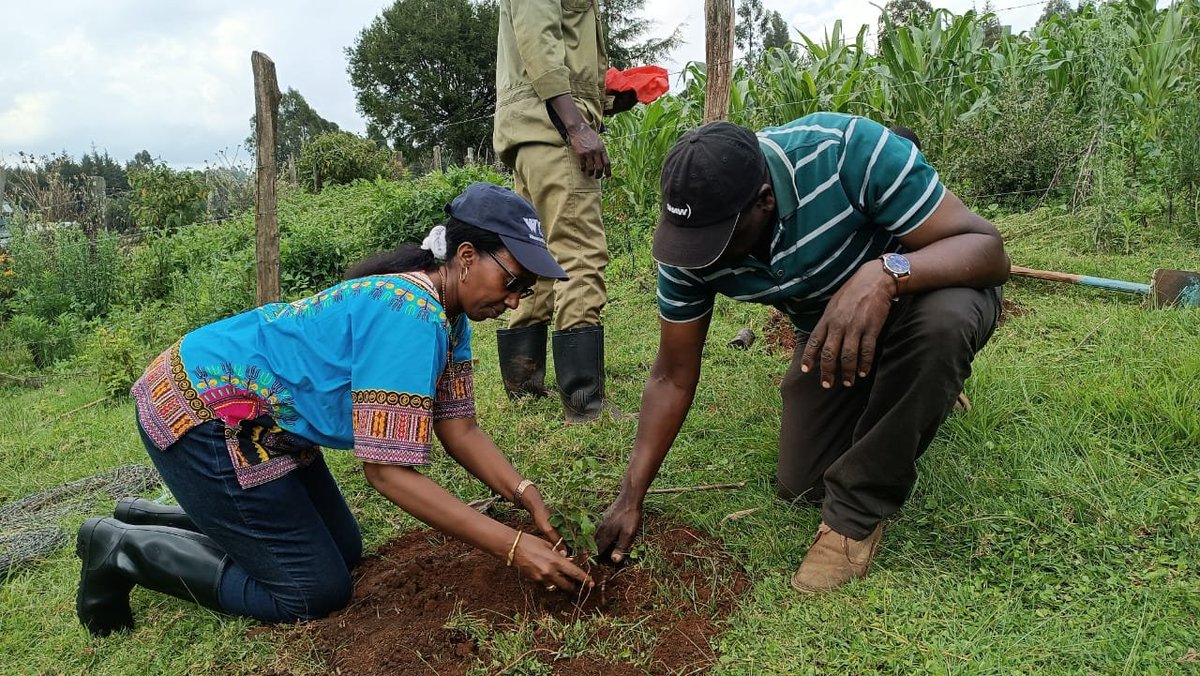 FOMAWA's tweet photo. Mr James Langat articulating + Mr Sammy Sitienei demonstrating what best Husbandry means when growing gums at the 11th #MaraDay celebrations,   https://t.co/bYLDEvUPbN (https://t.co/TiwgRdljRy) #photo #Practice #Knowledgeispower https://t.co/phwYZ2GVkU