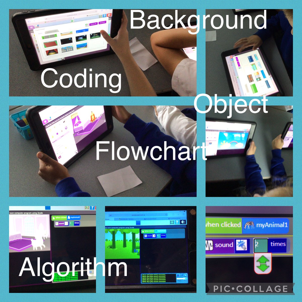 Zebraclassww's tweet photo. In computing, Zebra Class looked at flowcharts to help them input code. They made an object make a sound. @whistonwillis1 #WWPACOMPUTING https://t.co/SD3jYOJwLn