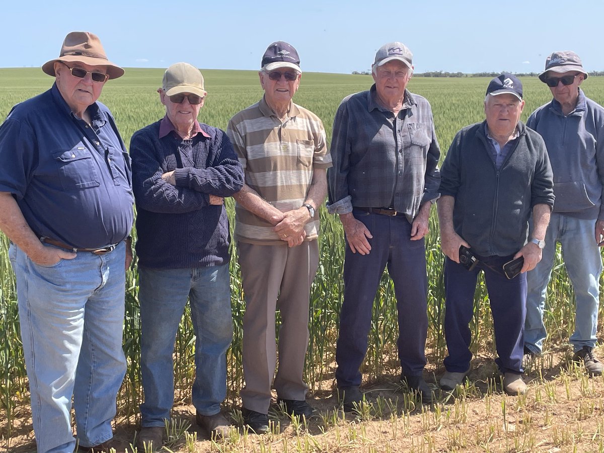 Talieka3131's tweet photo. Had the absolute pleasure of showing these Chandada identities and gentlemen around today . May we always remember the generation before us and what they opportunity they have provided for us . L to R.  Kevin Moroney Bill Carey Kevin Carey Graham Moroney Pat Cronin and Ray Carey https://t.co/jNLzYgrjVC