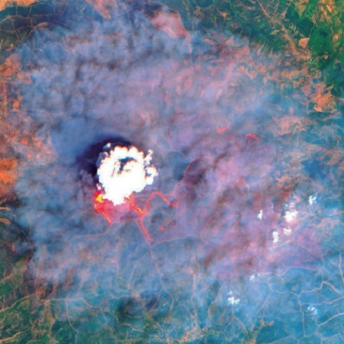 Reflexionar tras los grandes incendios 
revistamontes.net/Buscador.aspx?…

Contenidos en abierto que podrás encorntrar en el último número de la Revista Montes
#Actualidad #IncediosForestales
