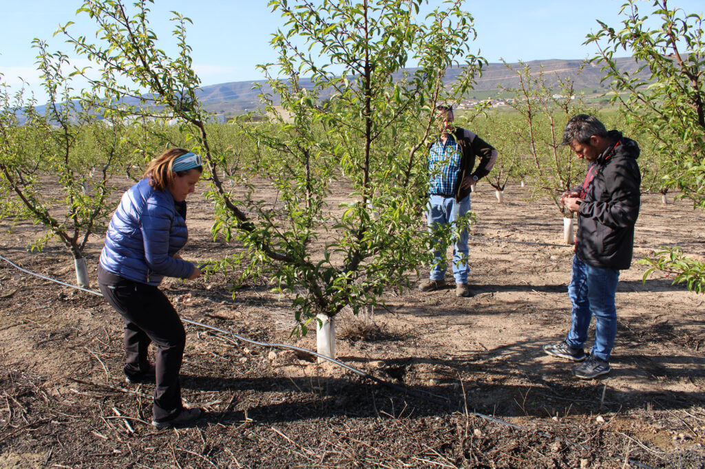 FiradeLleida1's tweet photo. ✅@SegreSegur,  al costat dels agricultors i ramaders estarà a fira #SantMiquel
Format per professionals amb un alt nivell de coneixement de totes les línies d’@Agroseguro, una gran experiència i capacitat per adaptar-se a la temporalitat del sector.
👉https://t.co/mpNRQ1047H https://t.co/fC154jVQah