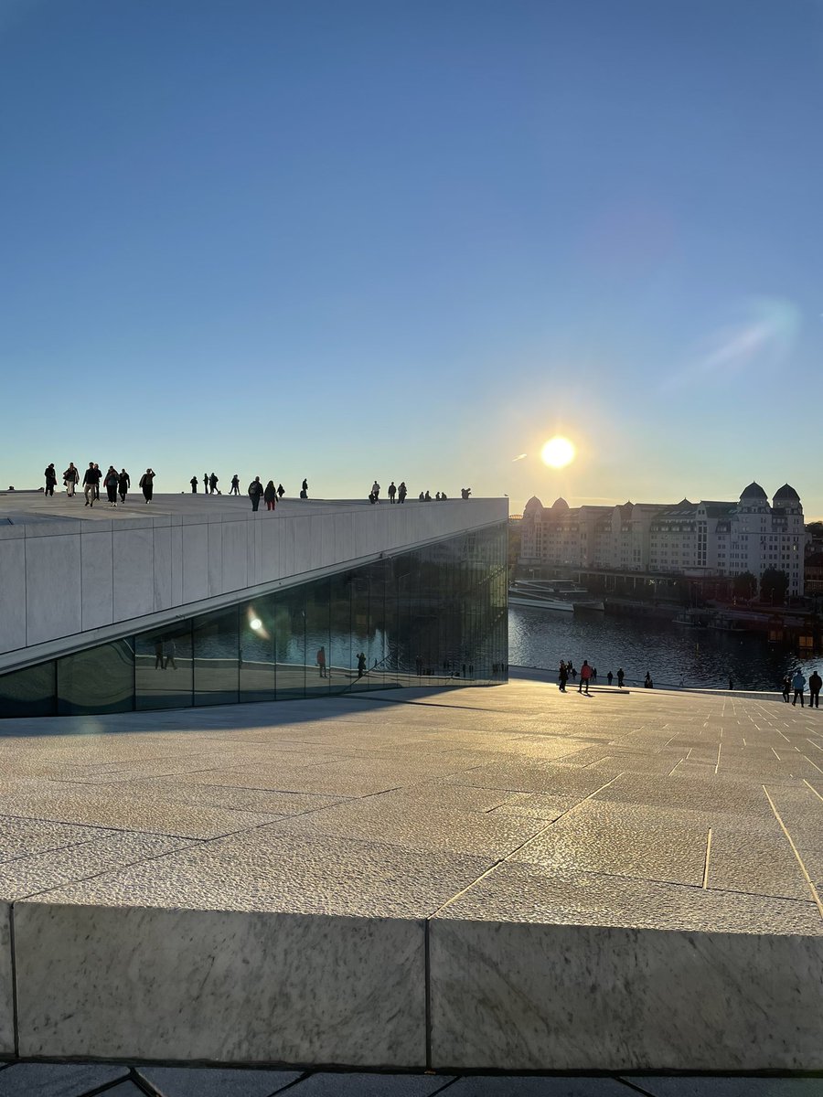 Sandra Andrea O'Connell tweet media