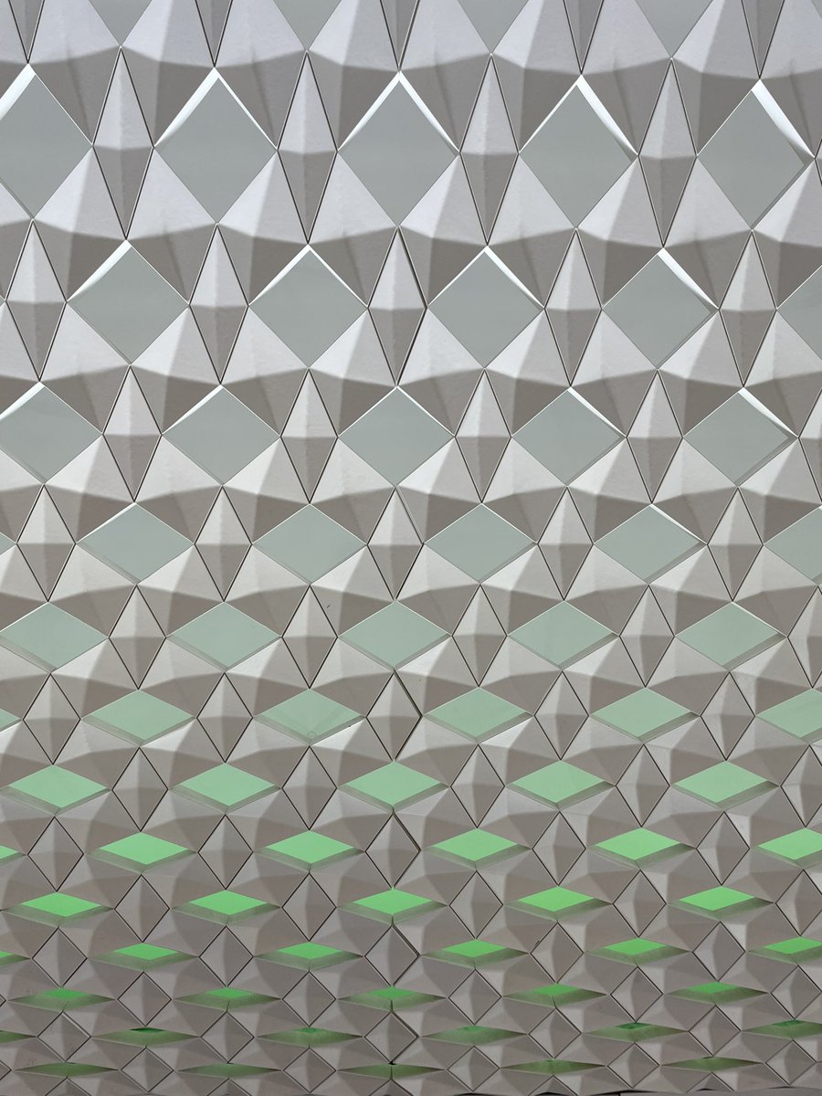 Sandra Andrea O'Connell tweet media