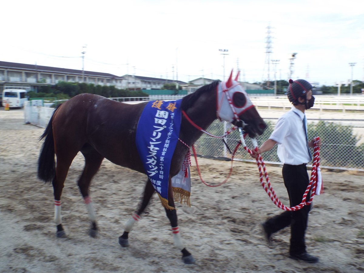 そのだメール☆ひめじメール on Twitter