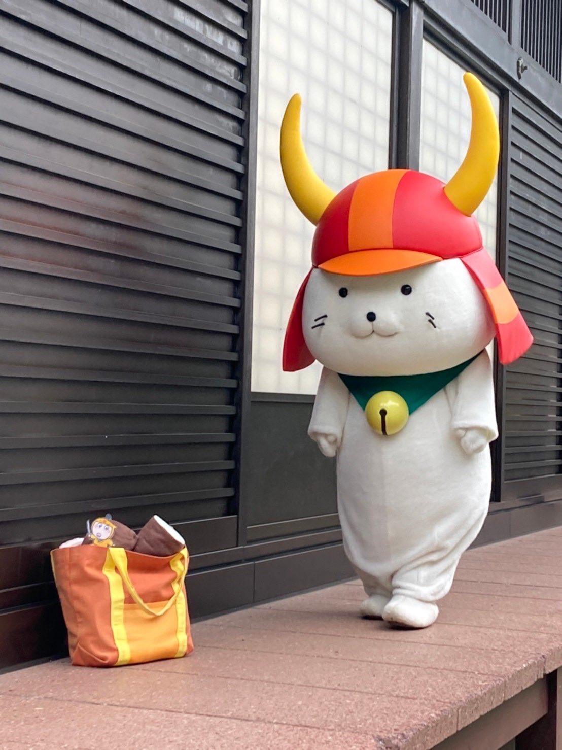 いのにゃん にゃんじろう on X: 