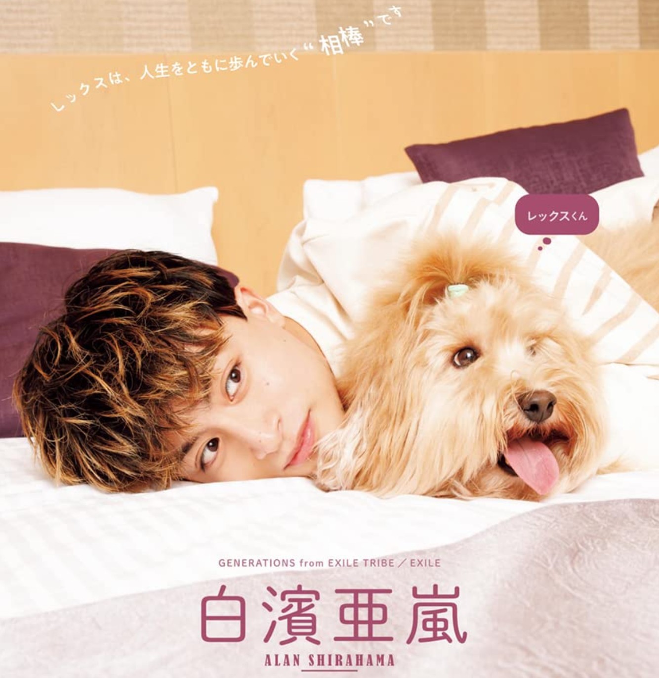 GENERATIONS 生臭く GENE犬 クッション 白濱亜嵐 GENERATIONS 生臭く GENE犬 クッション 白濱亜嵐