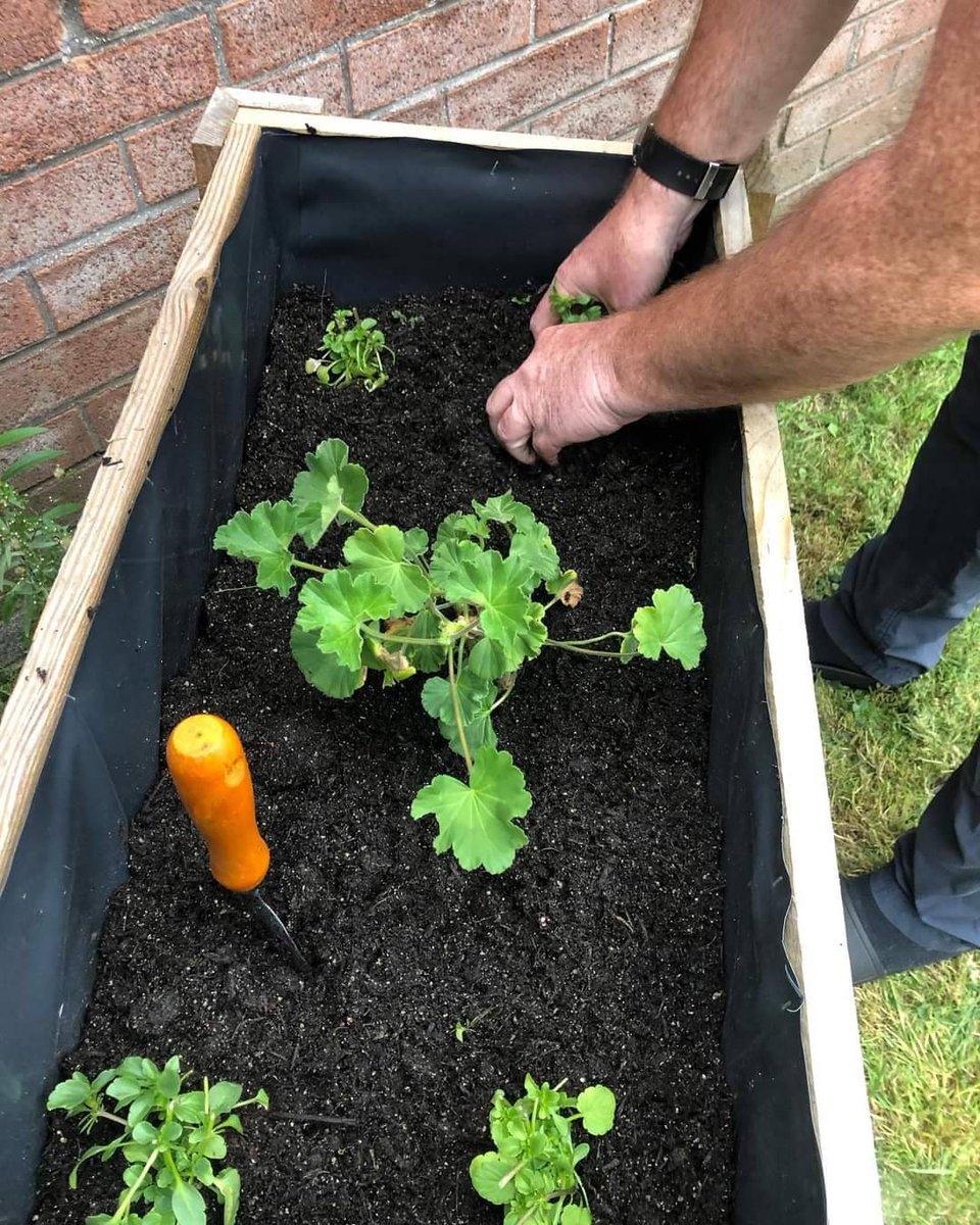 Great catch up with our poet's streets #GrowingCircle members. Loved seeing these neighbours looking after each other as well as sharing plants + growing stories. Evidence that #growing together builds stronger #community relationships. #urbangrowing #communitygrowing @TNLUK