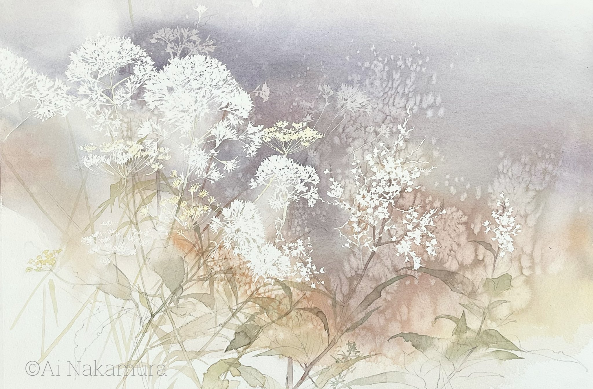 水彩花 水彩画花 - অনুসন্ধান / X