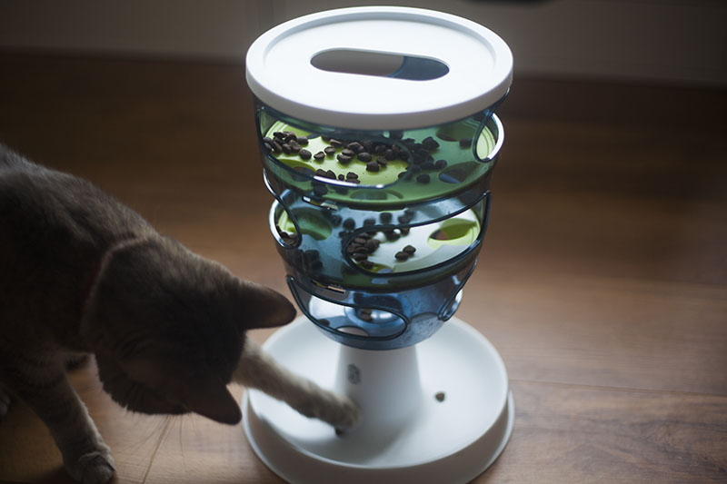 _KittyClysm's tweet photo. Has anybody tried the Catit Design Senses Food Maze?

My cat, Avery, absolutely loves this toy!

In case you're curious about it, here's my review: https://t.co/dxE4VvX0L8

#cattoy #cats #kitty https://t.co/ZyAVELadFa