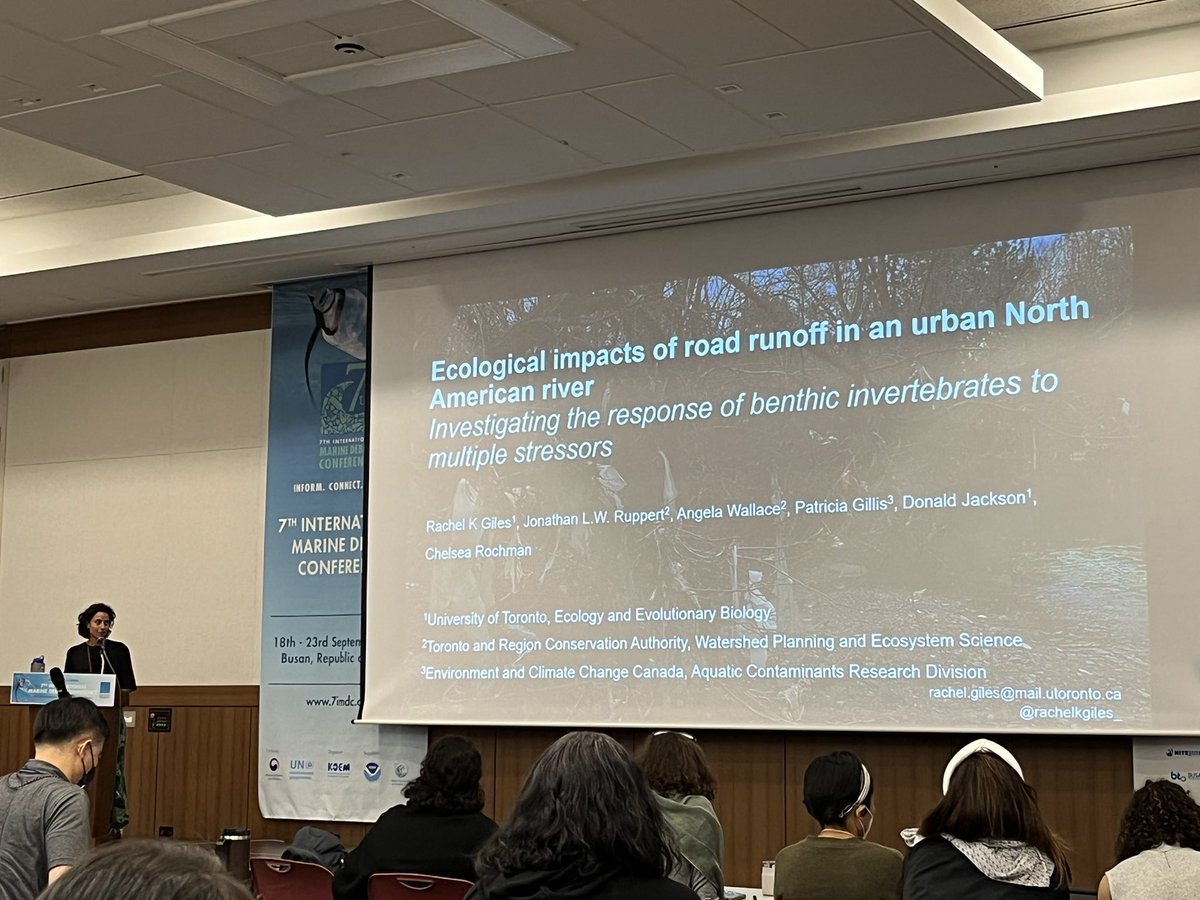5 Gyres (@5gyres) on Twitter photo Cities + rivers = a confluence of contaminants to the environment.
Tire particles, PAHs and metals…oh my! 🚧 Urban roads in Toronto show high levels of contamination ⚠️
Great presentation (as always!) by <a href="/rachelkgiles_/">rachel kusuma giles (she/her)</a> #7IMDC <a href="/ChelseaRochman/">Chelsea Rochman</a> <a href="/UofTTrashTeam/">U of T Trash Team 🦝</a> Cities + rivers = a confluence of contaminants to the environment.
Tire particles, PAHs and metals…oh my! 🚧 Urban roads in Toronto show high levels of contamination ⚠️
Great presentation (as always!) by <a href="/rachelkgiles_/">rachel kusuma giles (she/her)</a> #7IMDC <a href="/ChelseaRochman/">Chelsea Rochman</a> <a href="/UofTTrashTeam/">U of T Trash Team 🦝</a>