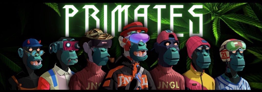 DJ Carruthers tweet media