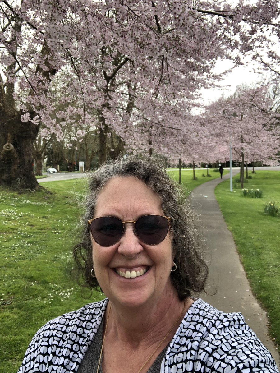 Cherry blossoms on campus - stunning!